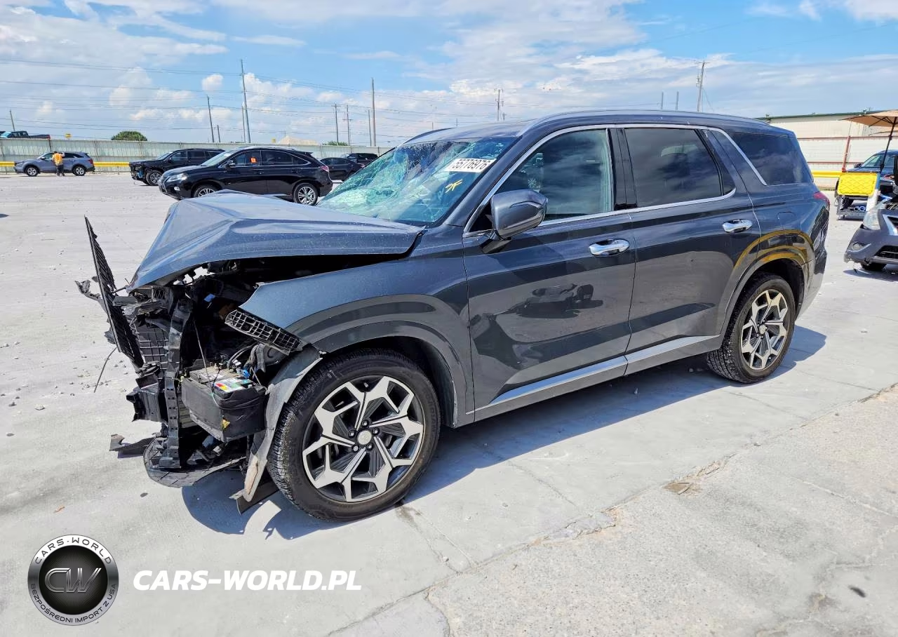 2022 Hyundai Palisade Calligraphy VIN:KM8R74HE9NU401245 - 1