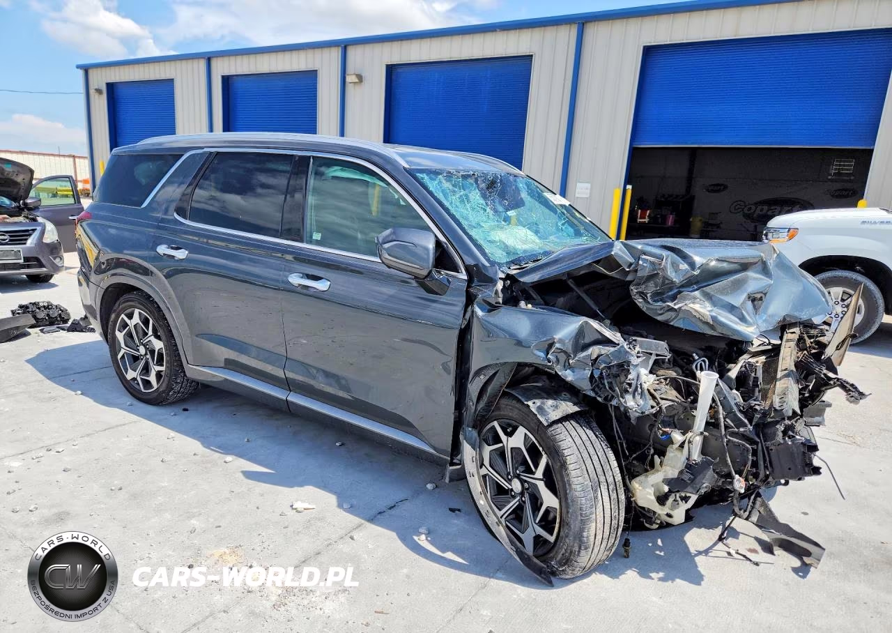 2022 Hyundai Palisade Calligraphy VIN:KM8R74HE9NU401245 - 4
