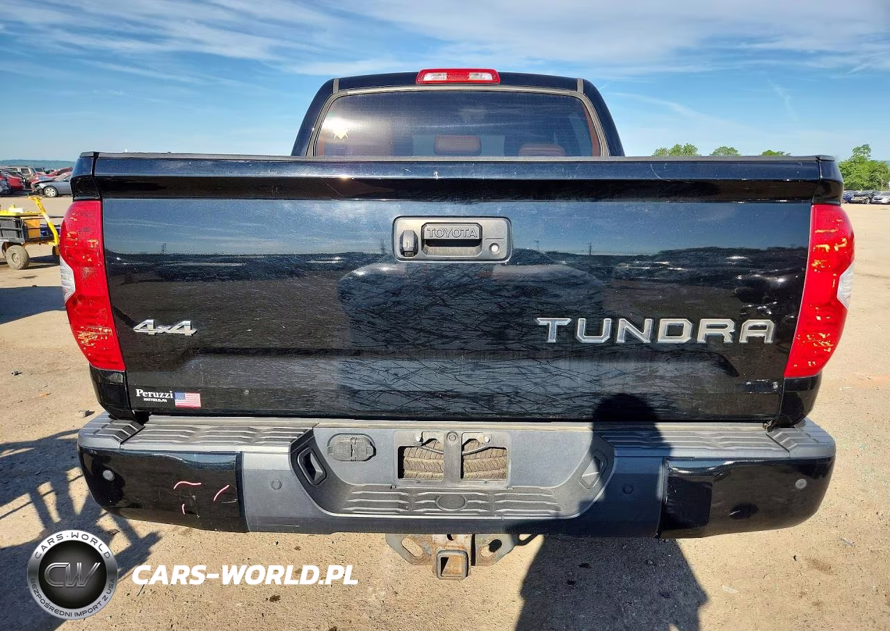 2016 Toyota Tundra 1794 Edition VIN:5TFAY5F10GX506374 - 6