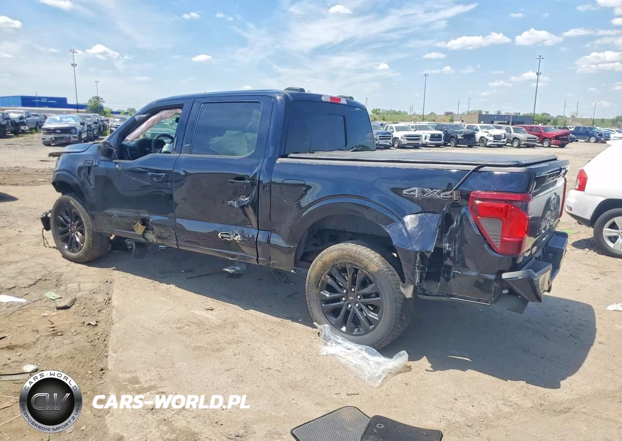 2024 Ford F150 Xlt VIN:1FTEW3LP0RFB16856 - 2