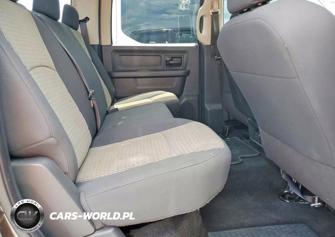 2010 DODGE RAM 1500  VIN:1D7RB1CTXAS238740 - 10