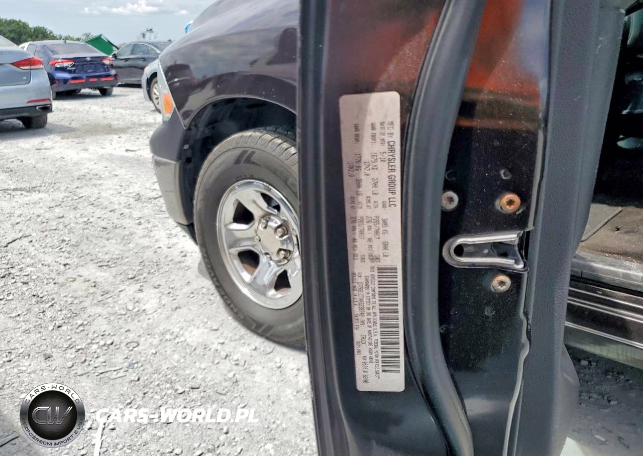 2010 DODGE RAM 1500  VIN:1D7RB1CTXAS238740 - 12