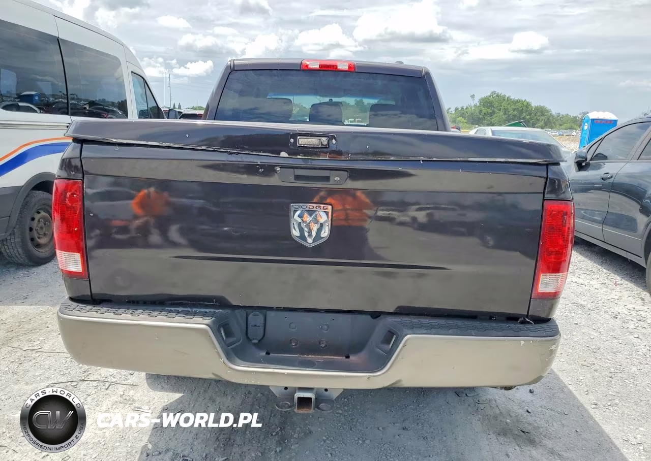 2010 DODGE RAM 1500  VIN:1D7RB1CTXAS238740 - 6