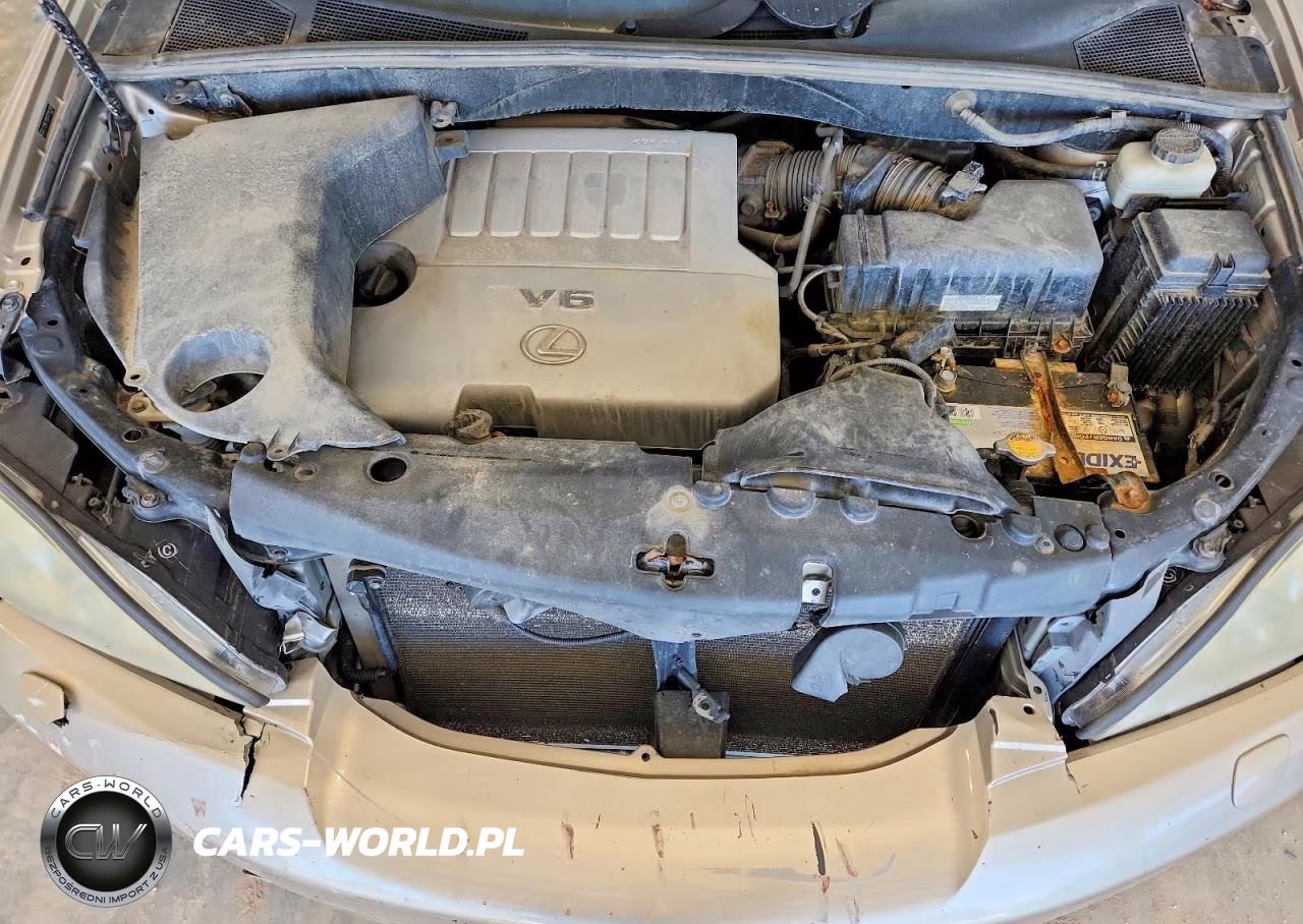 2007 Lexus Rx 350 VIN:2T2HK31U07C016193 - 11