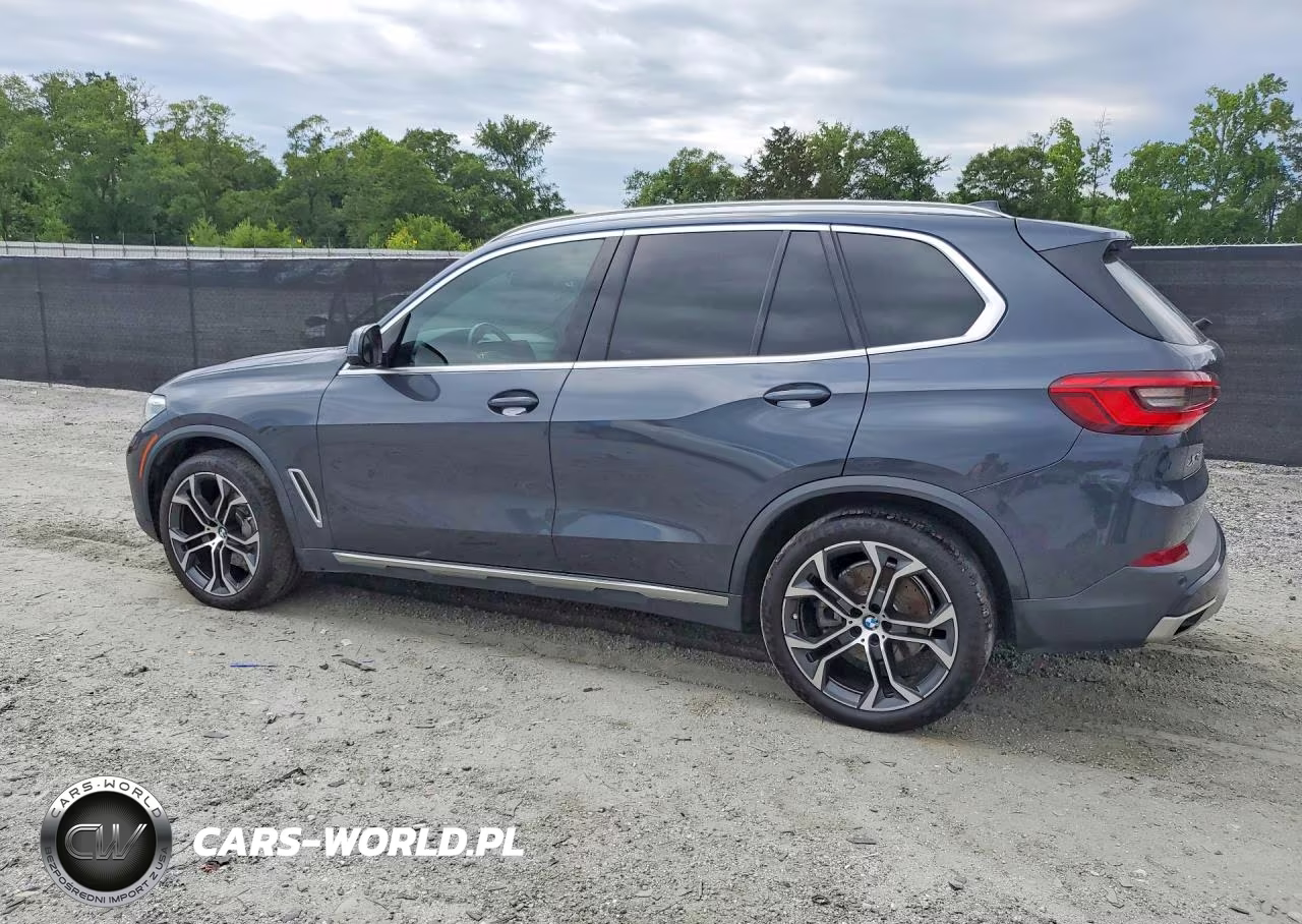 2020 BMW X5 Sdrive 40I VIN:5UXCR4C03L9B38204 - 2