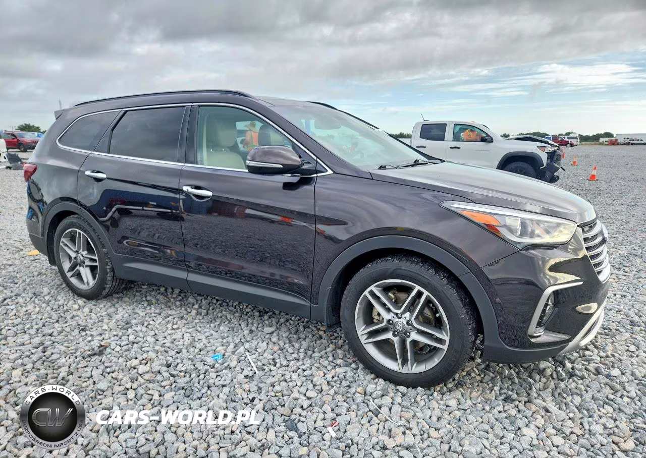 2017 Hyundai Santa Fe Se Ultimate VIN:KM8SR4HF7HU252701 - 4