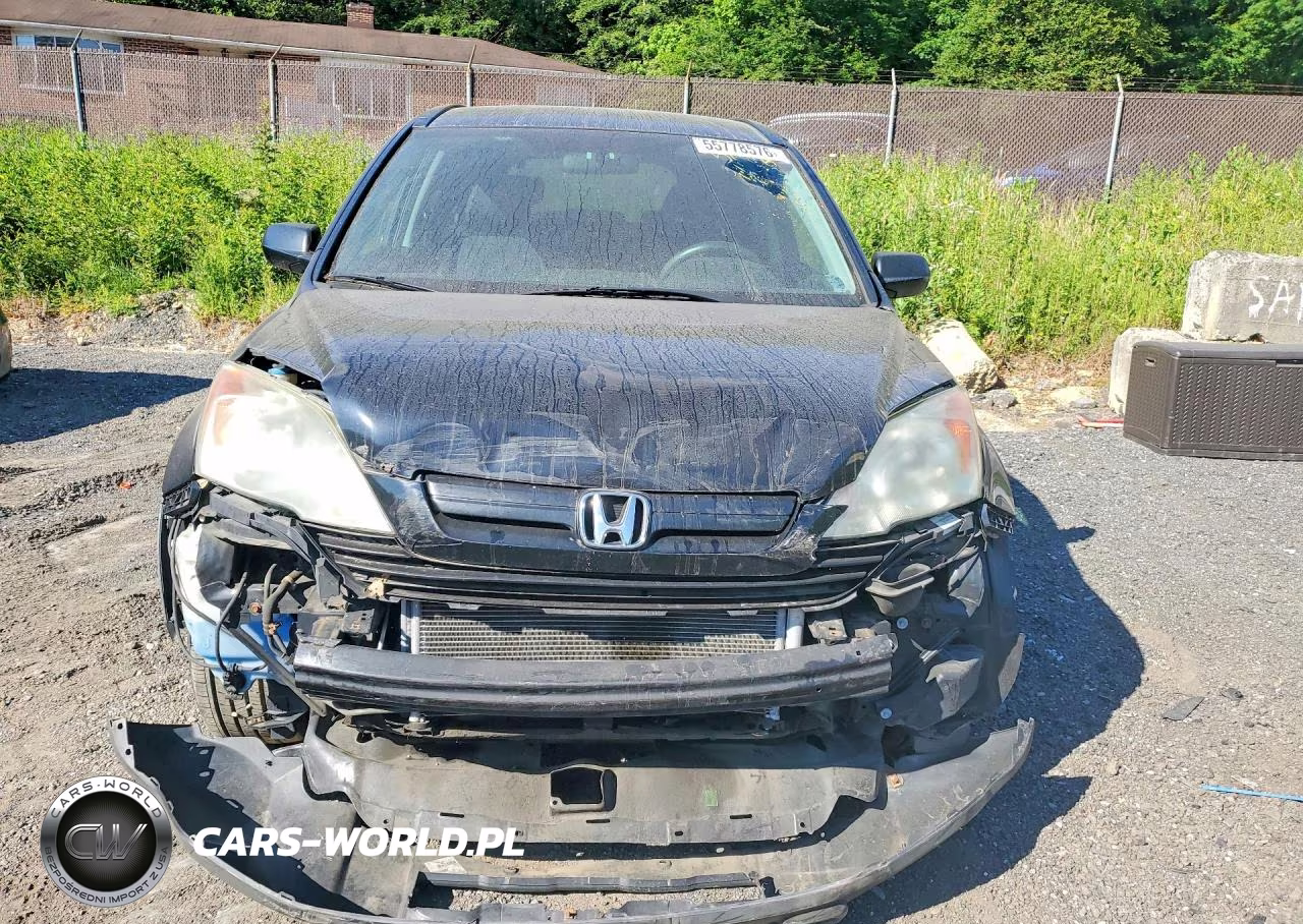 2009 Honda Cr-V Lx VIN:5J6RE48319L038003 - 5