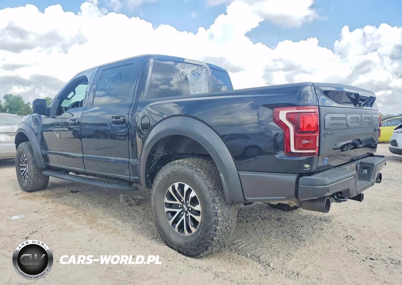 2019 Ford F150 Raptor VIN:1FTFW1RG7KFB28069 - 2