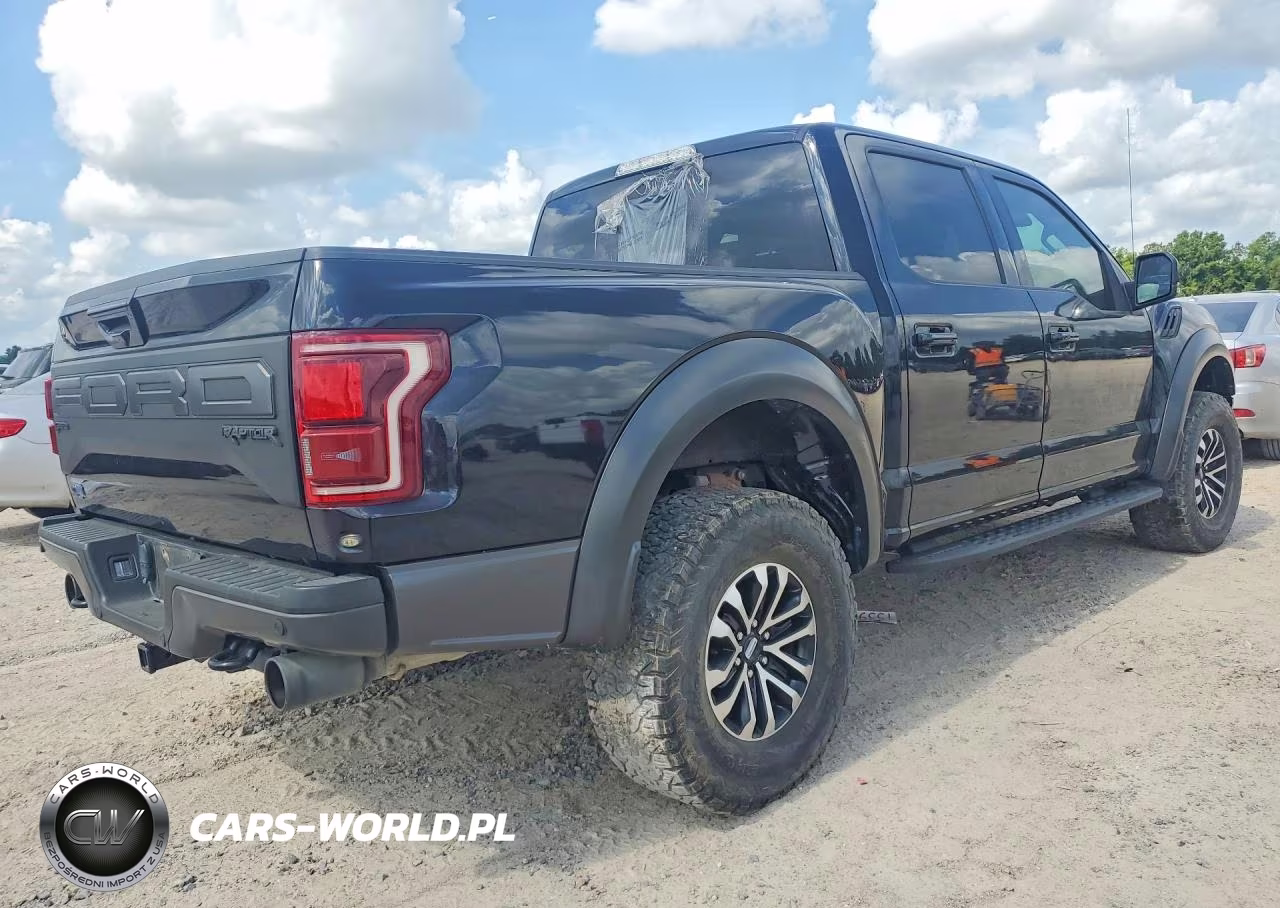 2019 Ford F150 Raptor VIN:1FTFW1RG7KFB28069 - 3