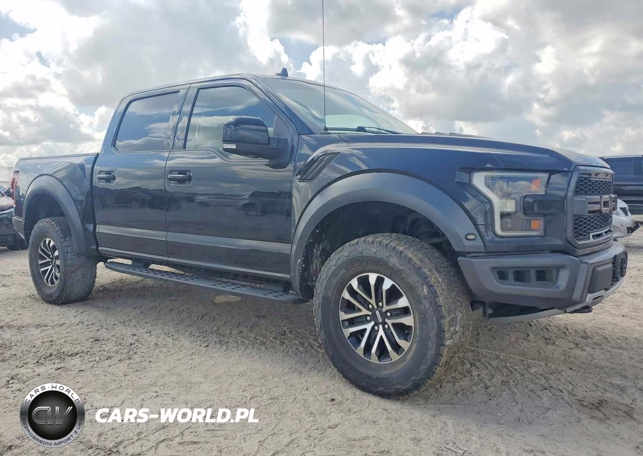 2019 Ford F150 Raptor VIN:1FTFW1RG7KFB28069 - 4