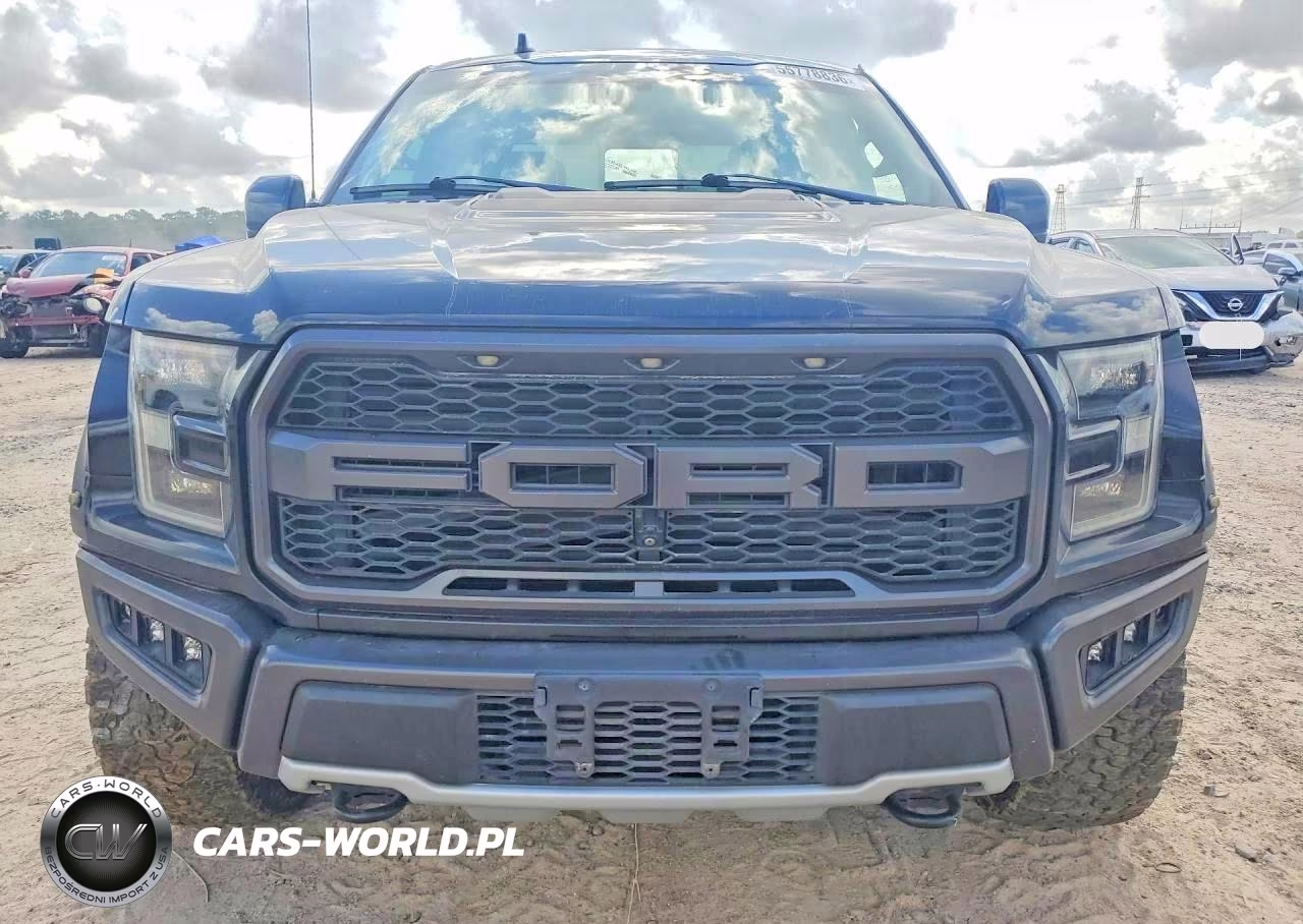 2019 Ford F150 Raptor VIN:1FTFW1RG7KFB28069 - 5