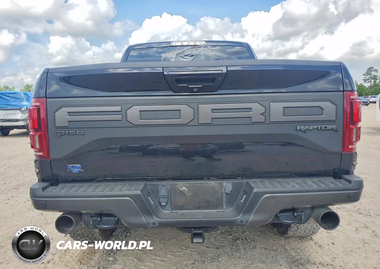 2019 Ford F150 Raptor VIN:1FTFW1RG7KFB28069 - 6