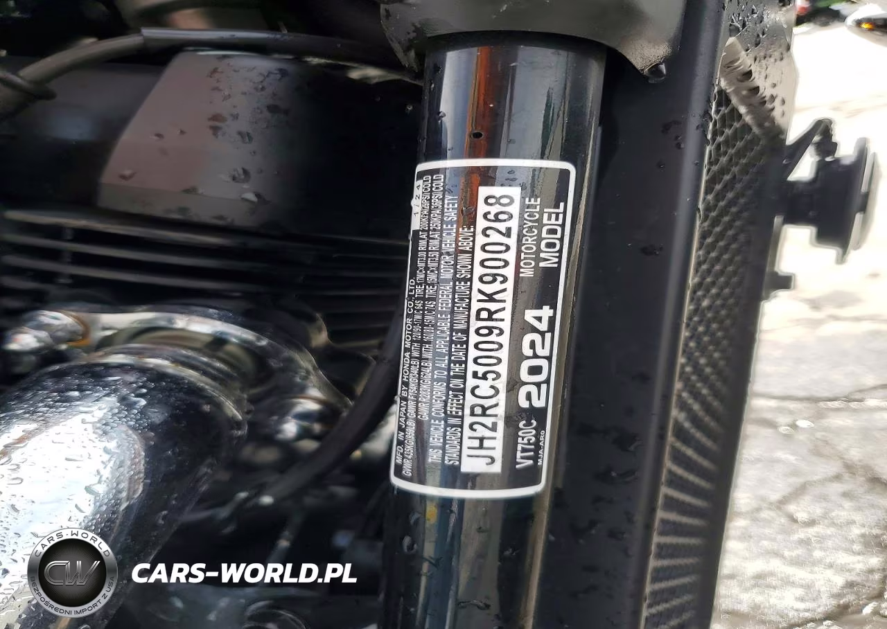 2024 Honda Vt750 C VIN:JH2RC5009RK900268 - 9