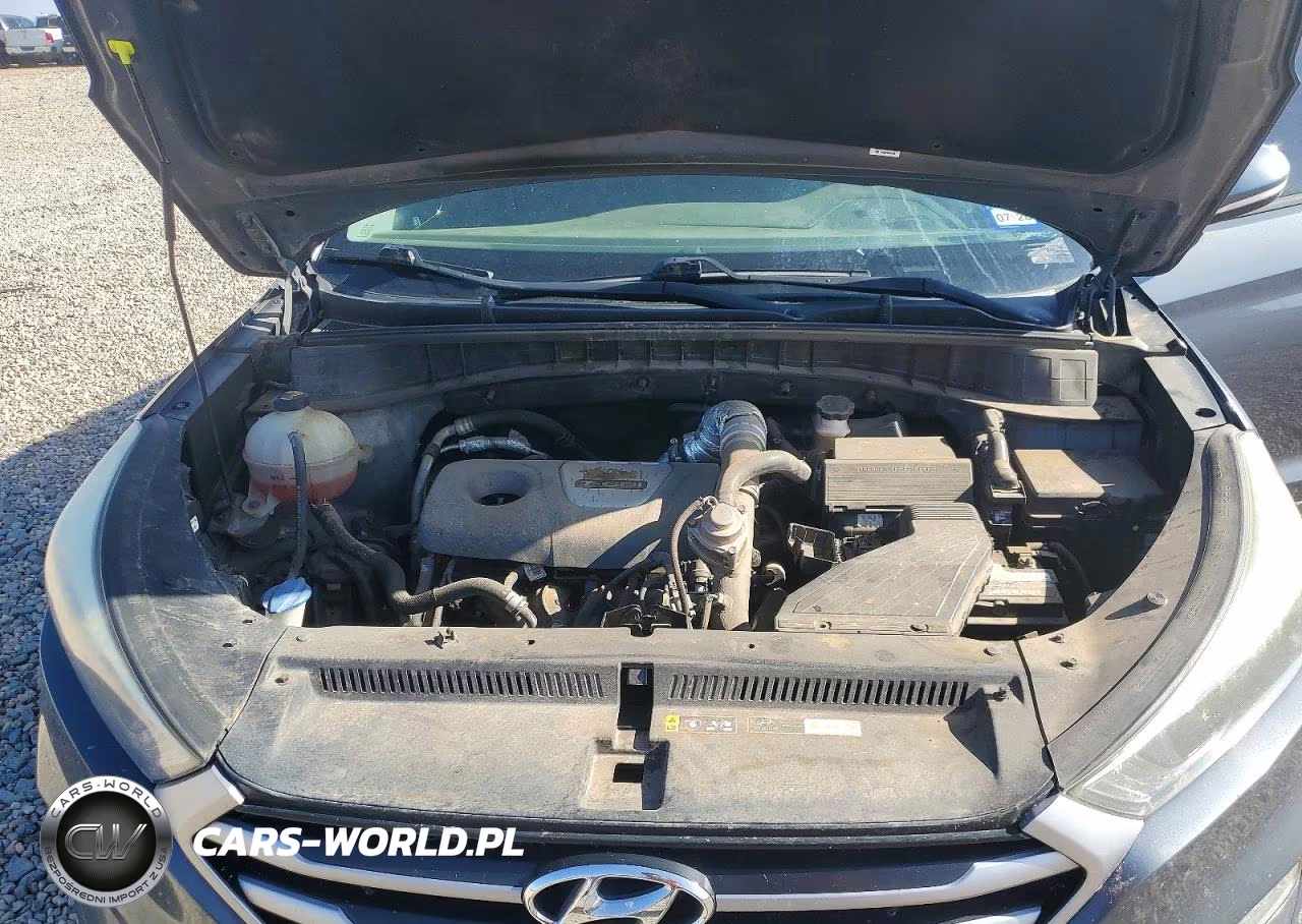 2017 Hyundai Tucson Sport VIN:KM8J3CA25HU531224 - 12