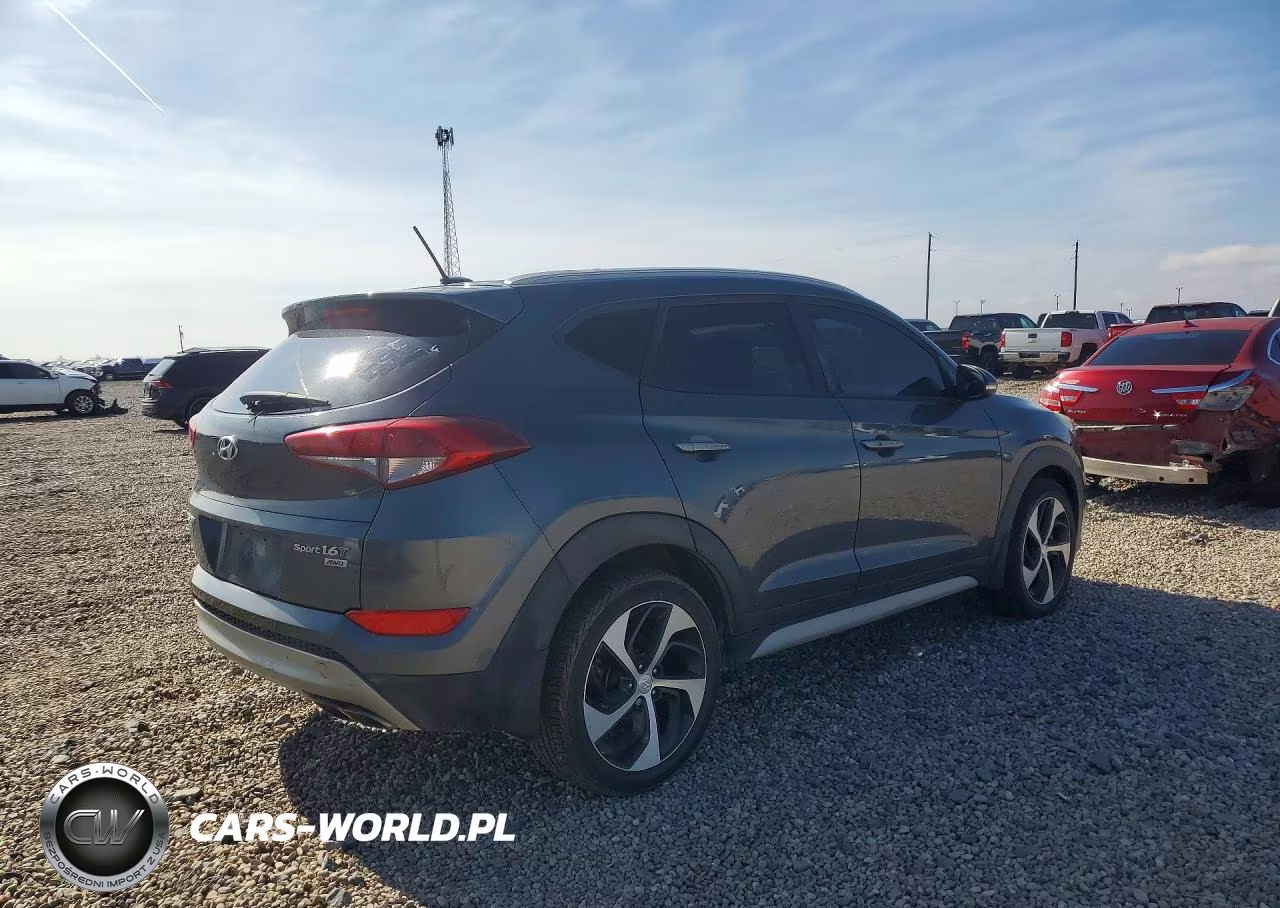 2017 Hyundai Tucson Sport VIN:KM8J3CA25HU531224 - 3