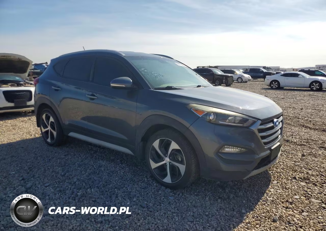 2017 Hyundai Tucson Sport VIN:KM8J3CA25HU531224 - 4