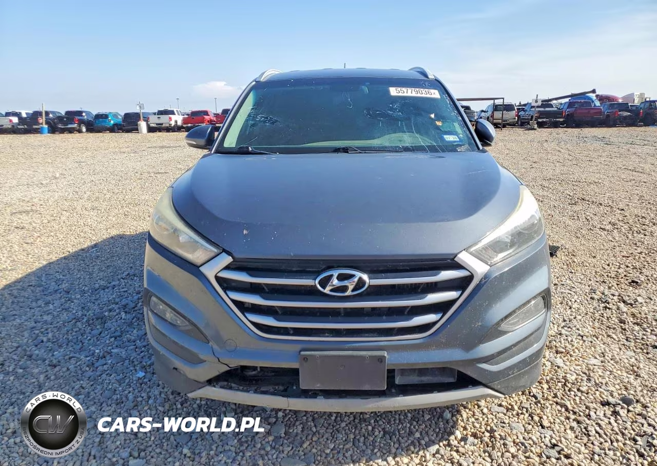 2017 Hyundai Tucson Sport VIN:KM8J3CA25HU531224 - 5