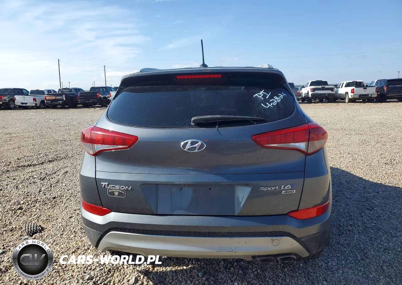 2017 Hyundai Tucson Sport VIN:KM8J3CA25HU531224 - 6
