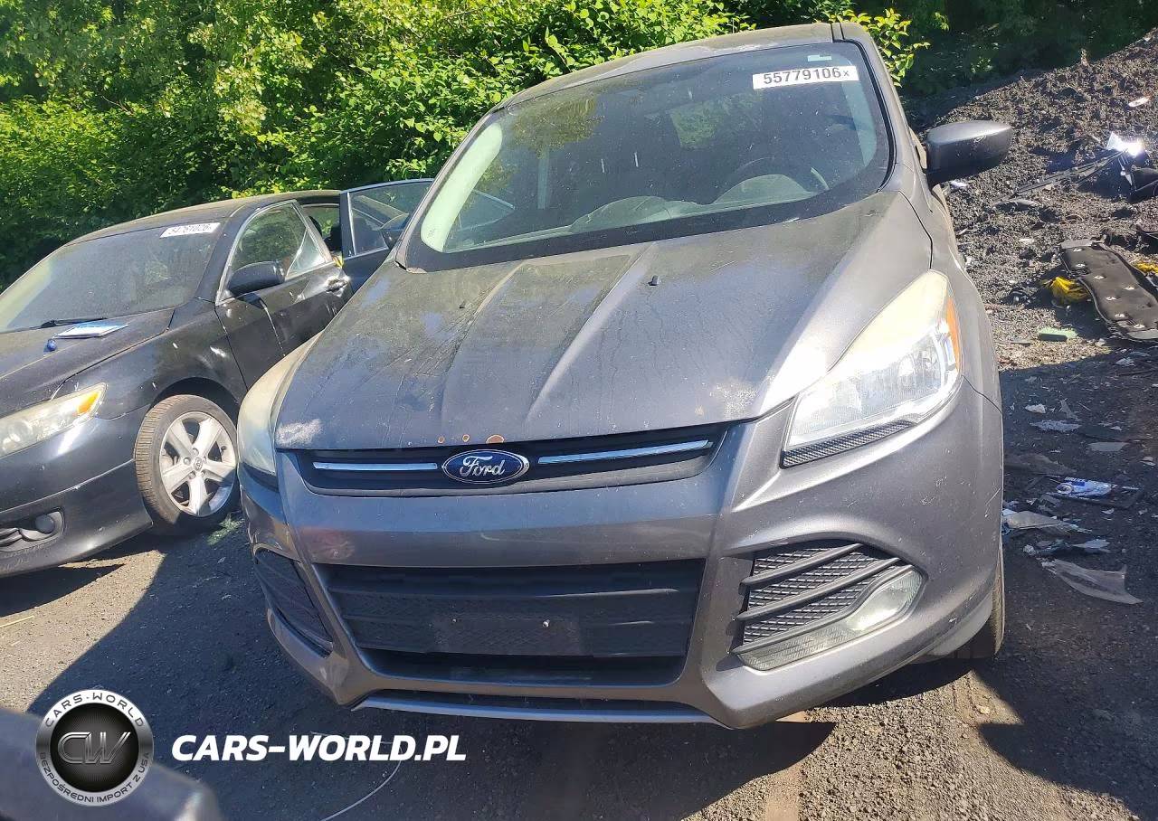 2014 Ford Escape Se VIN:1FMCU9GX3EUC31608 - 5