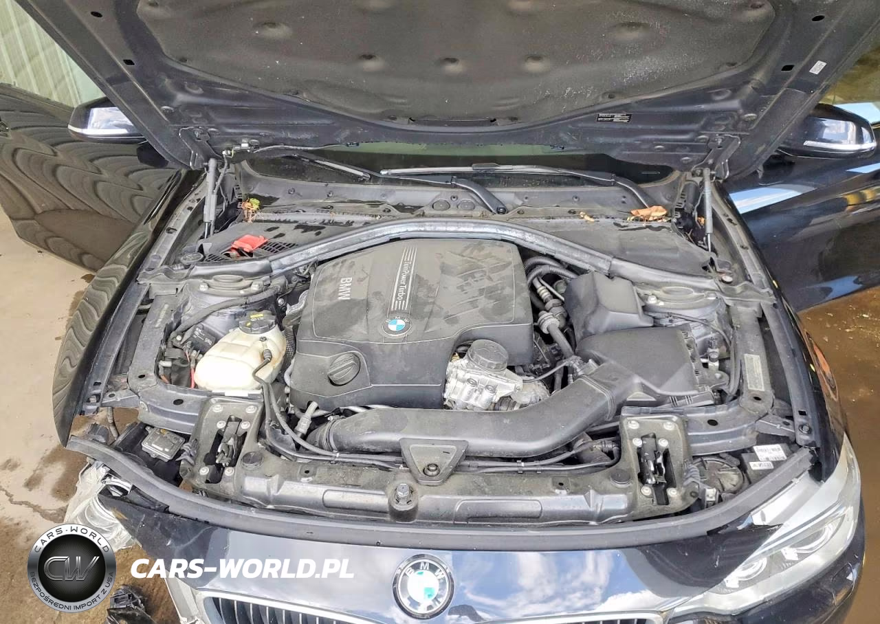 2015 BMW 435 Xi VIN:WBA3R5C5XFF785475 - 11