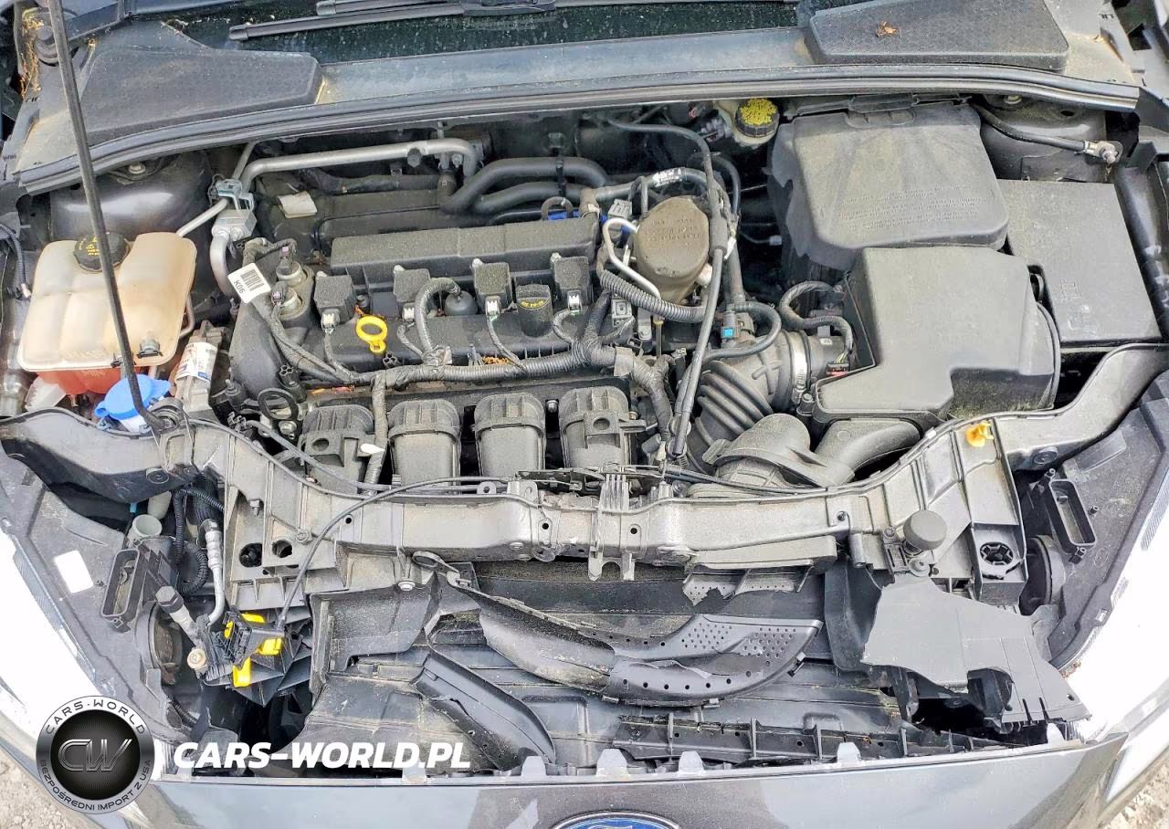 2016 Ford Focus S VIN:1FADP3E21GL219671 - 11