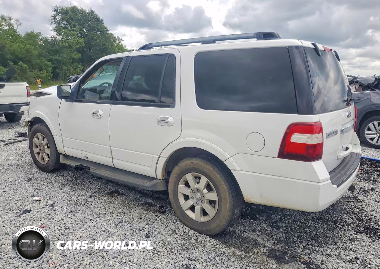 2010 Ford Expedition VIN:1FMJU1F59AEA34164 - 2