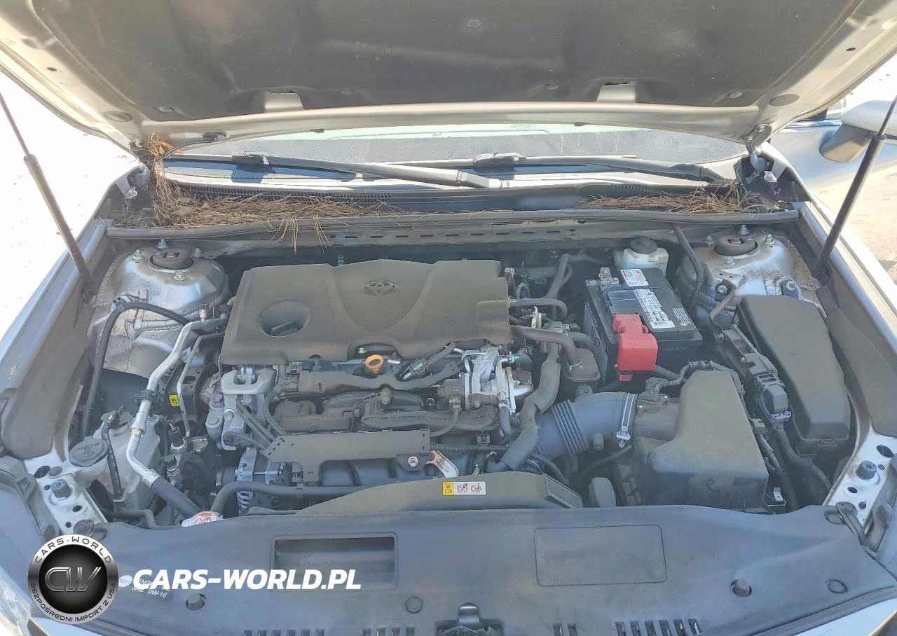 2019 Toyota Camry Xle VIN:4T1B11HKXKU298260 - 11