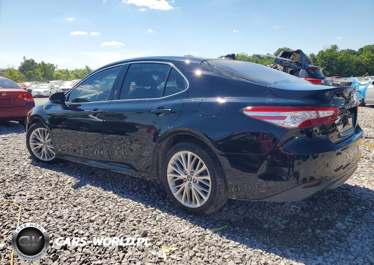 2019 Toyota Camry Xle VIN:4T1B11HK2KU768930 - 2
