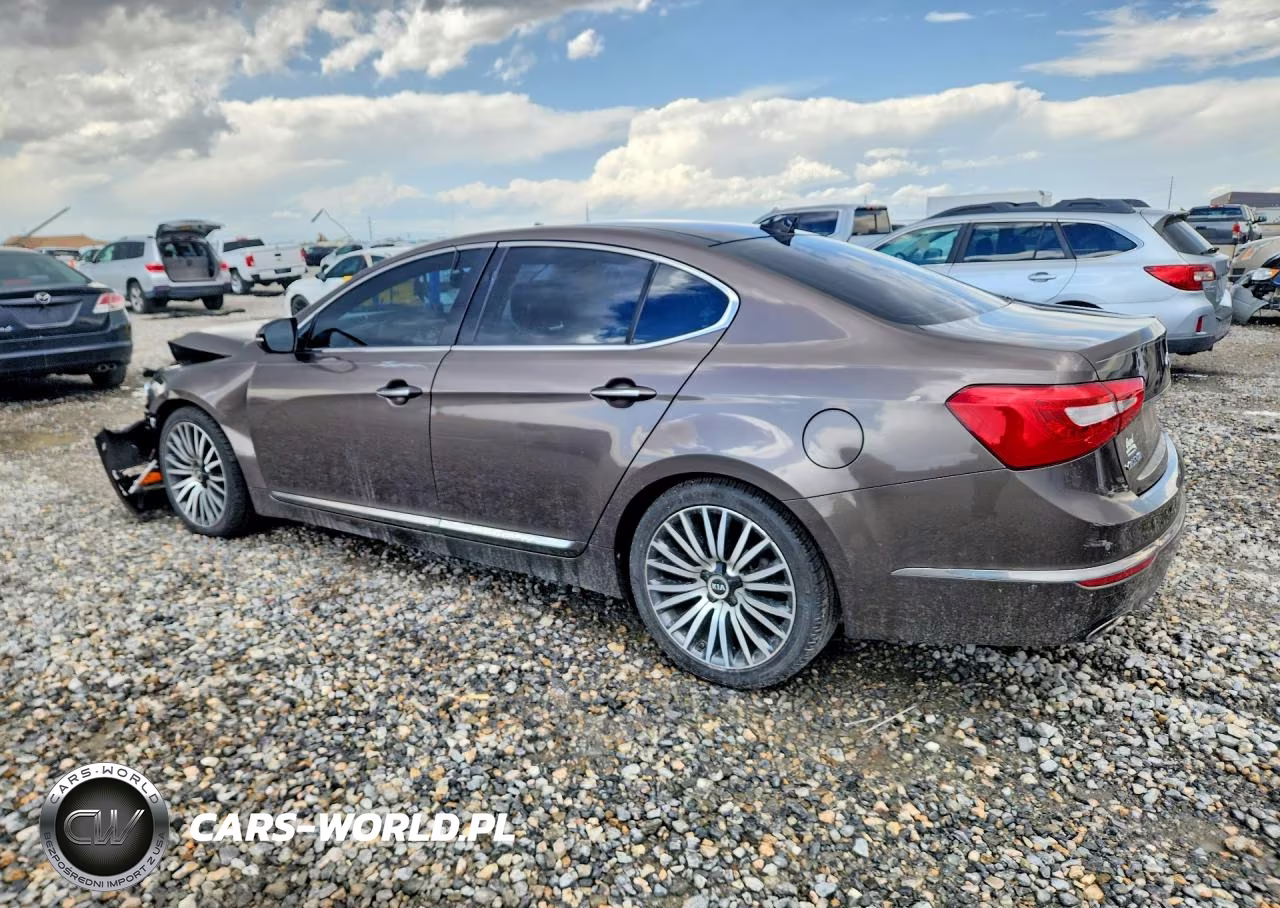 2014 Kia Cadenza Premium VIN:KNALN4D72E5125781 - 2