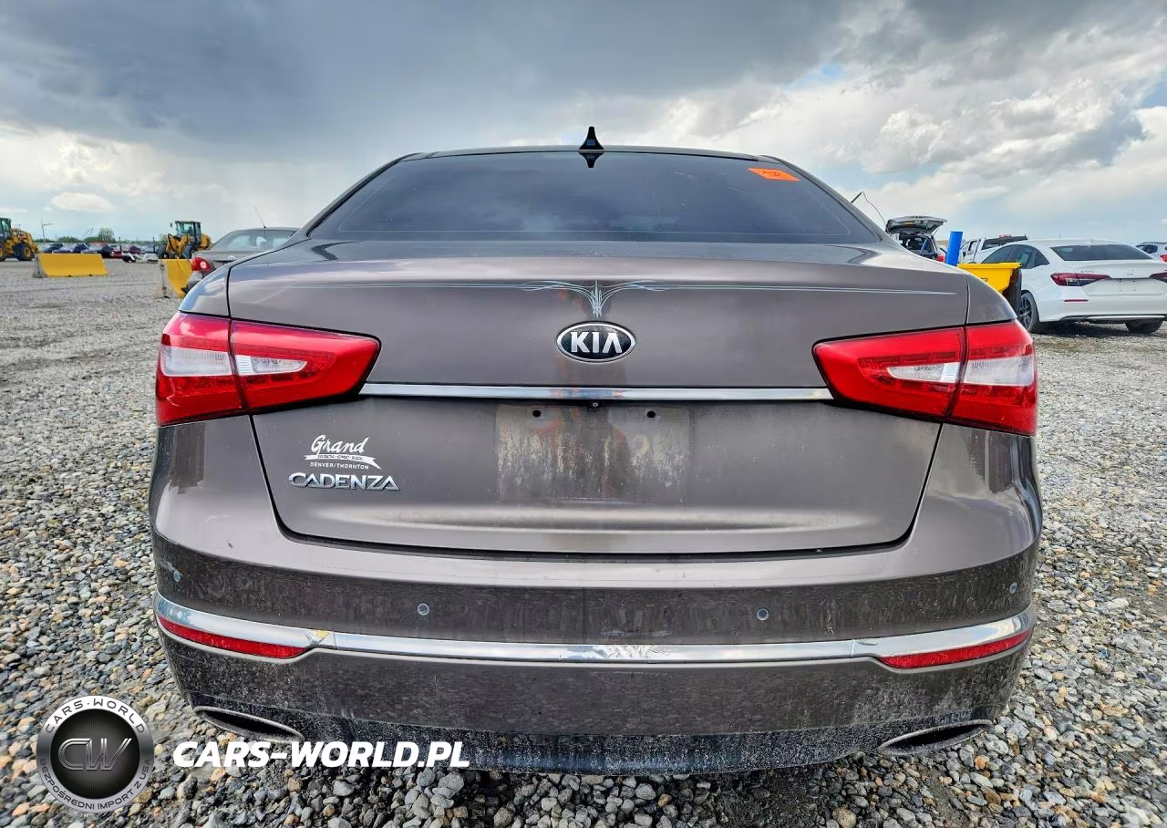 2014 Kia Cadenza Premium VIN:KNALN4D72E5125781 - 6