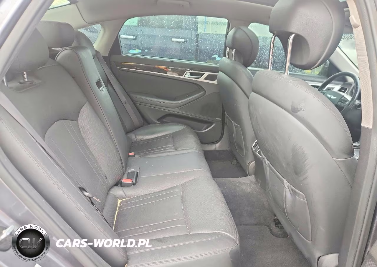 2015 Hyundai Genesis 3.8L VIN:KMHGN4JE0FU081399 - 10
