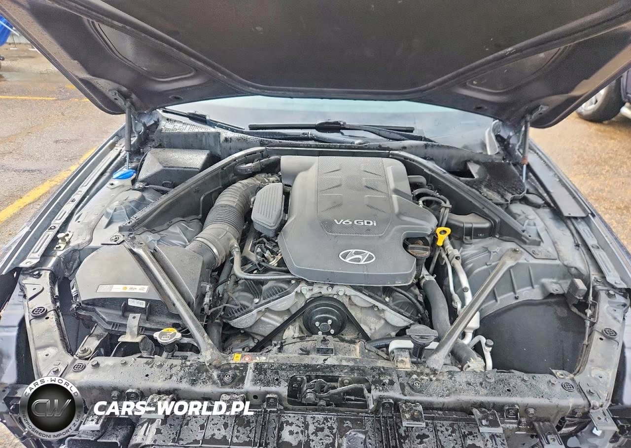 2015 Hyundai Genesis 3.8L VIN:KMHGN4JE0FU081399 - 11