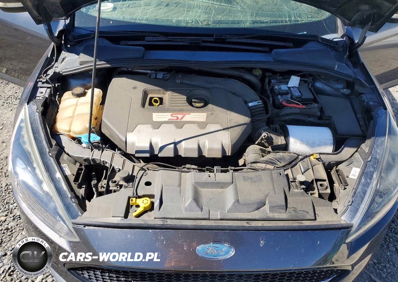 2018 Ford Focus St VIN:1FADP3L96JL247425 - 11