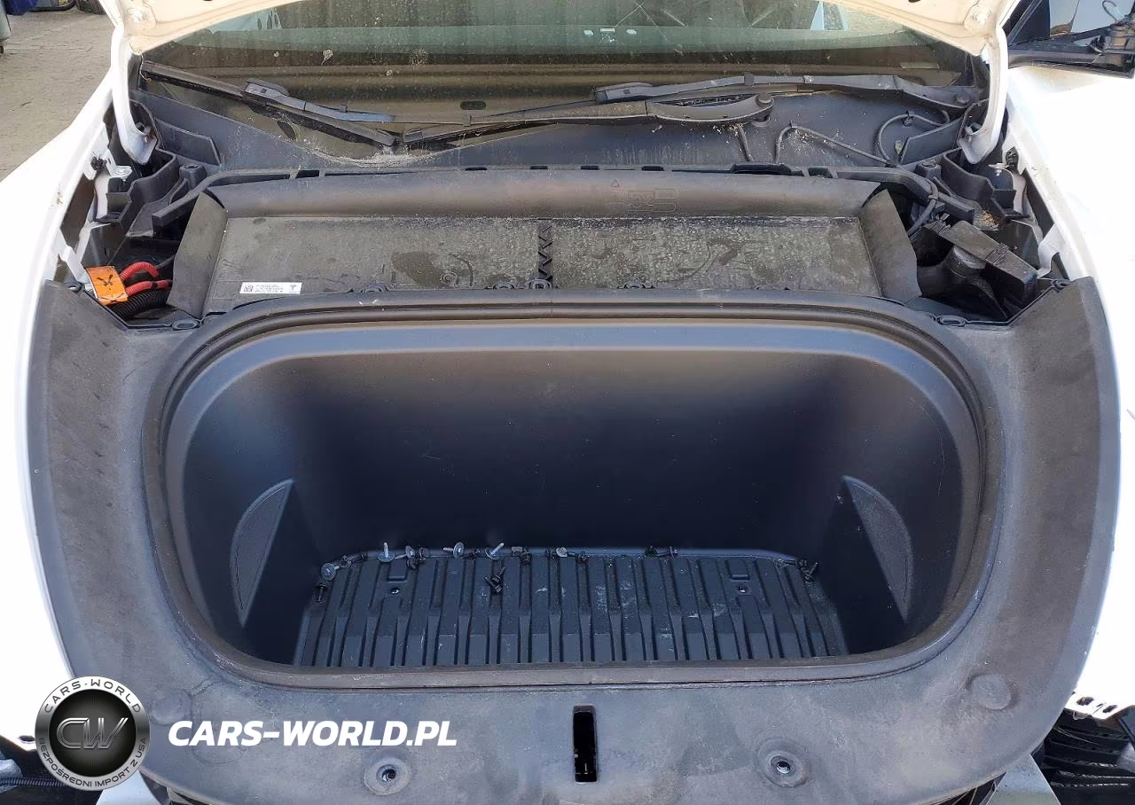 2023 Tesla Model Y VIN:7SAYGDEE0PF744805 - 11