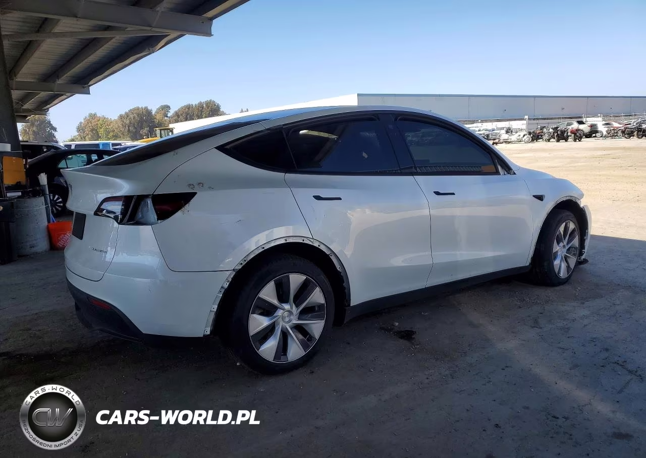 2023 Tesla Model Y VIN:7SAYGDEE0PF744805 - 3