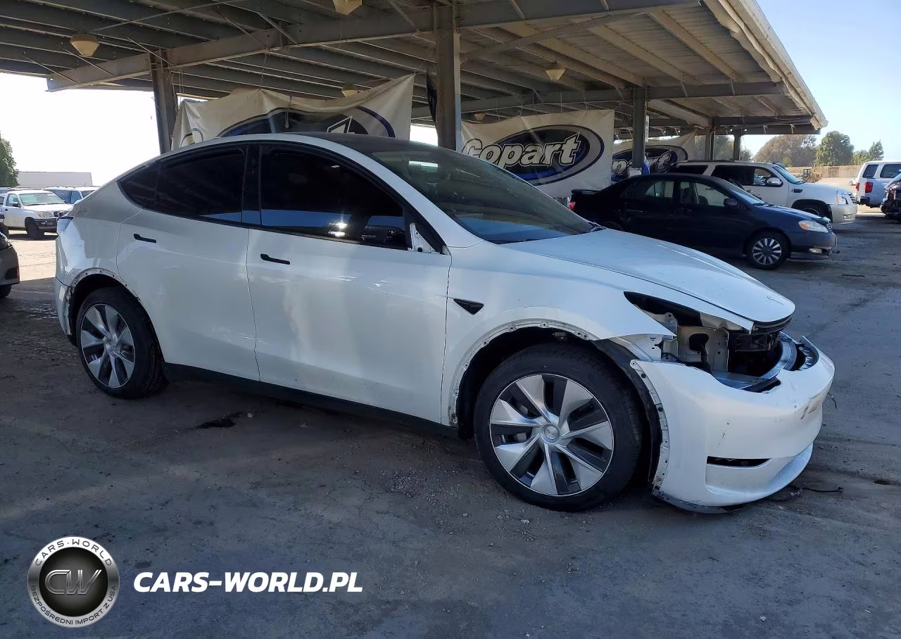 2023 Tesla Model Y VIN:7SAYGDEE0PF744805 - 4