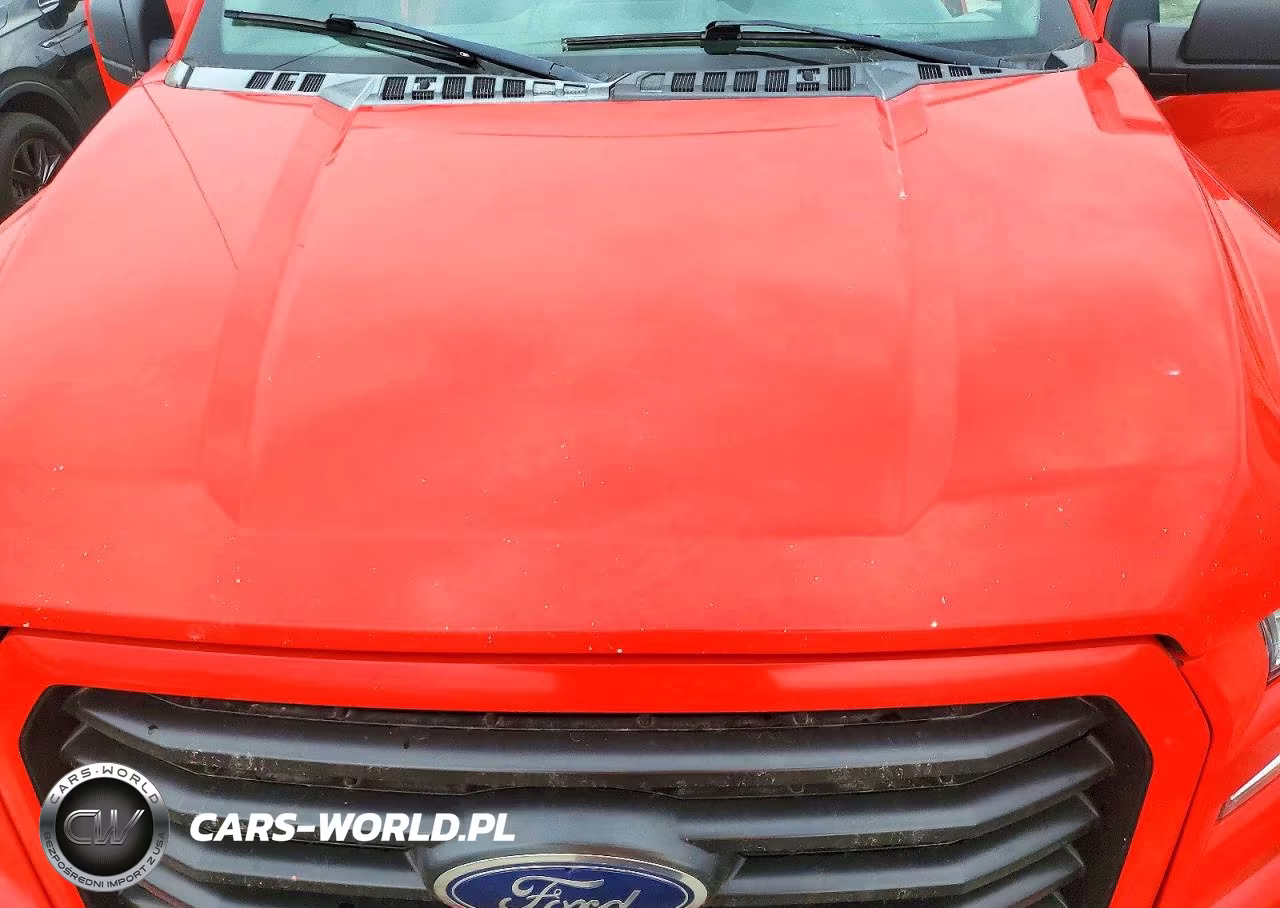 2017 Ford F150 Supercrew VIN:1FTEW1EF6HKD70053 - 11