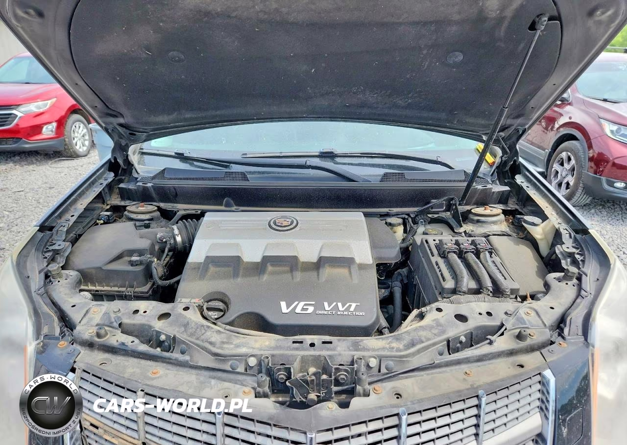 2010 Cadillac Srx Premium Collection VIN:3GYFNFEY1AS535601 - 12