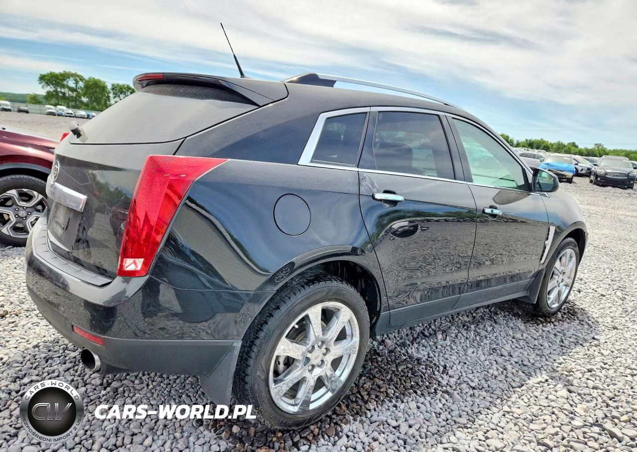 2010 Cadillac Srx Premium Collection VIN:3GYFNFEY1AS535601 - 3