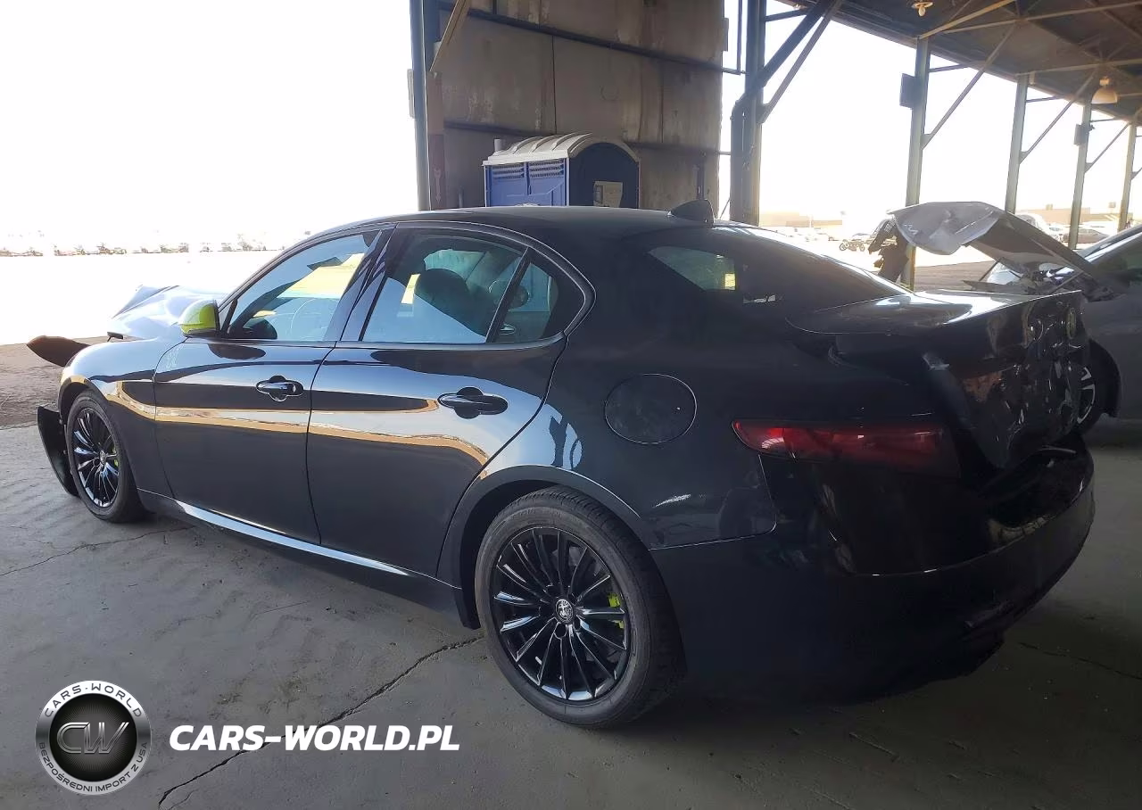 2022 Alfa Romeo Giulia VIN:ZARFAMANXN7654100 - 2