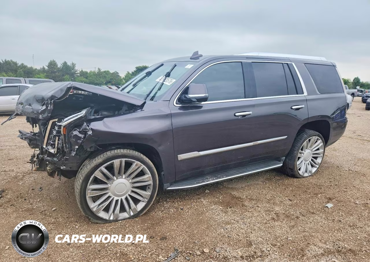 2016 Cadillac Escalade Luxury VIN:1GYS4BKJ1GR184279 - 1