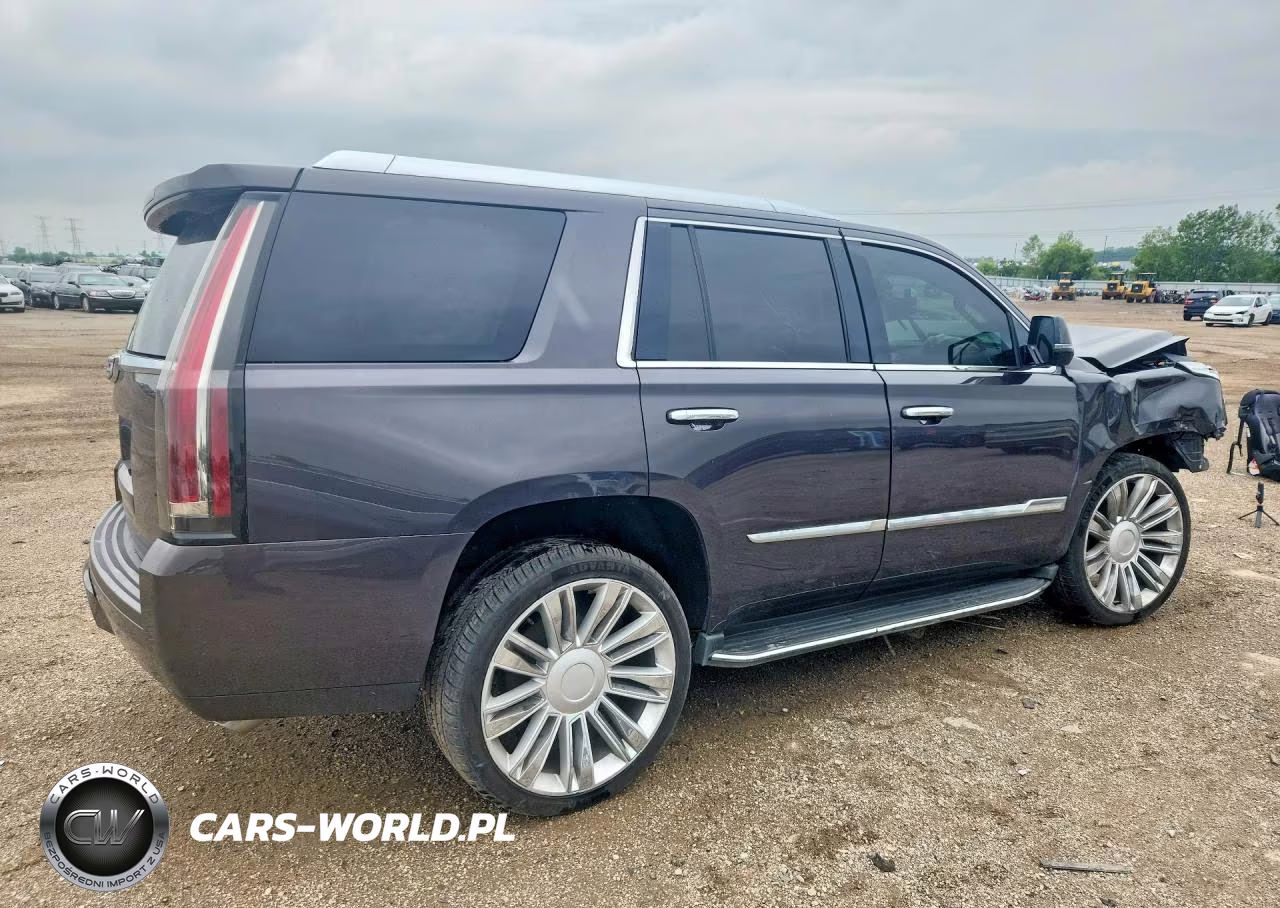 2016 Cadillac Escalade Luxury VIN:1GYS4BKJ1GR184279 - 3