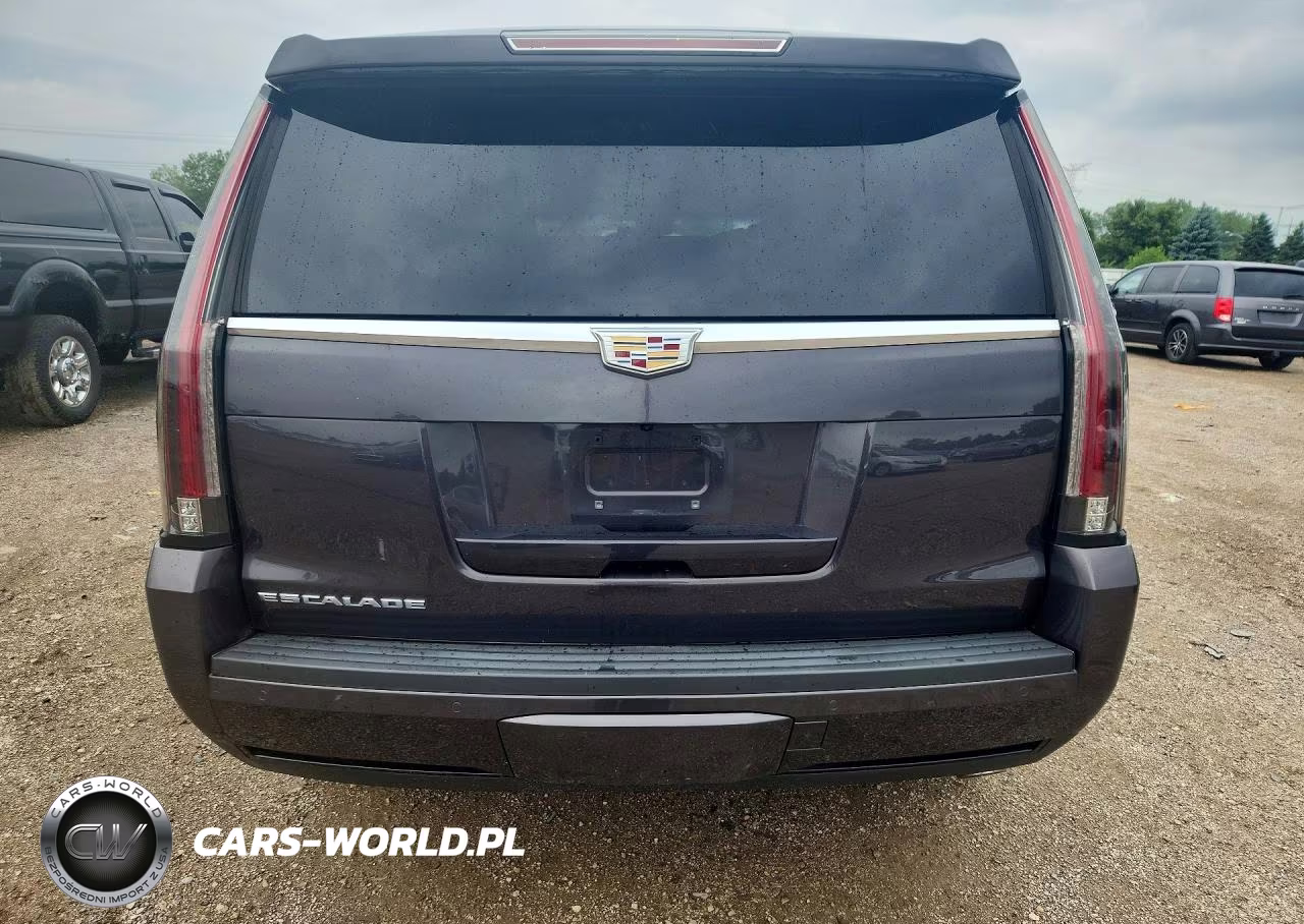 2016 Cadillac Escalade Luxury VIN:1GYS4BKJ1GR184279 - 6