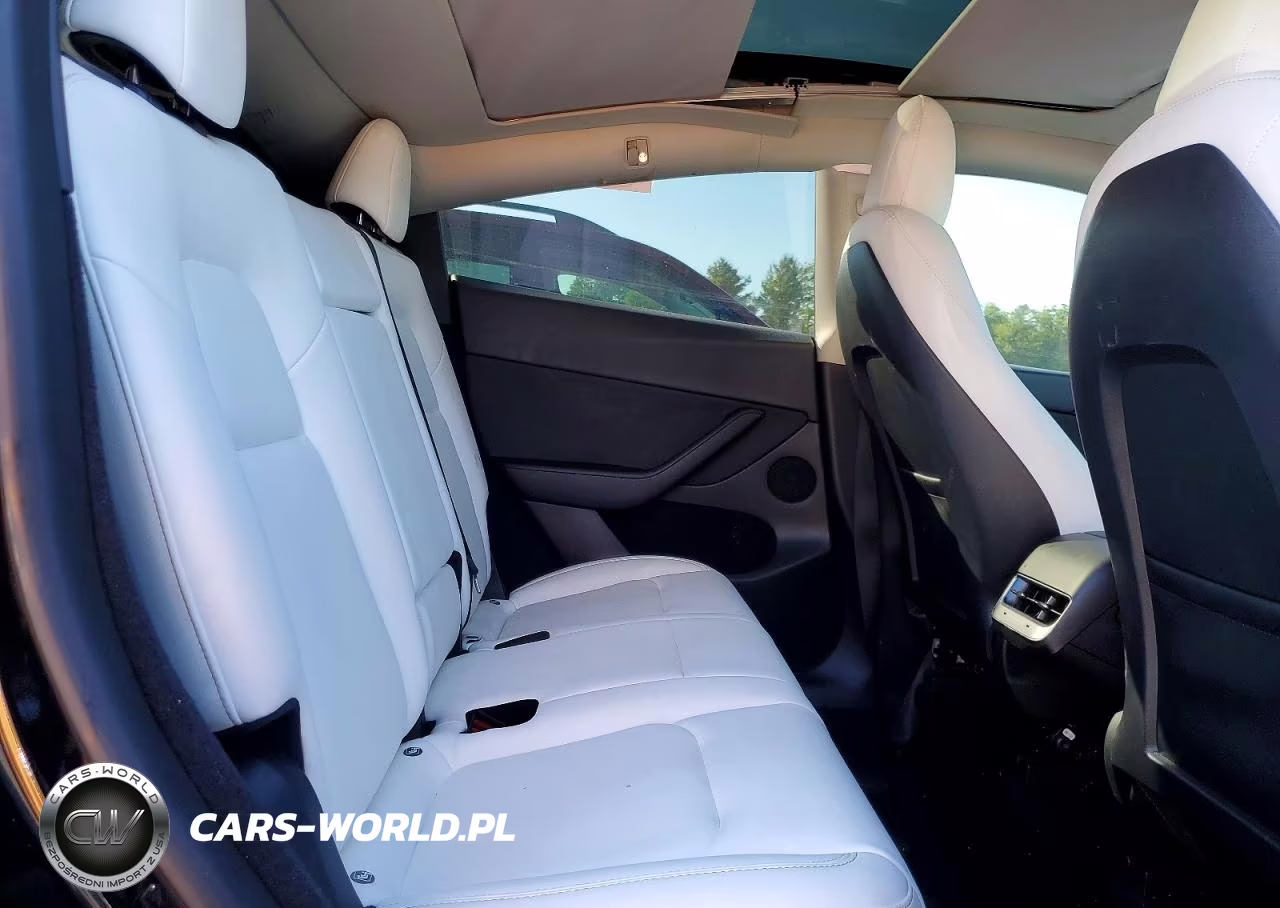 2023 Tesla Model Y VIN:7SAYGDEE4PF628068 - 10