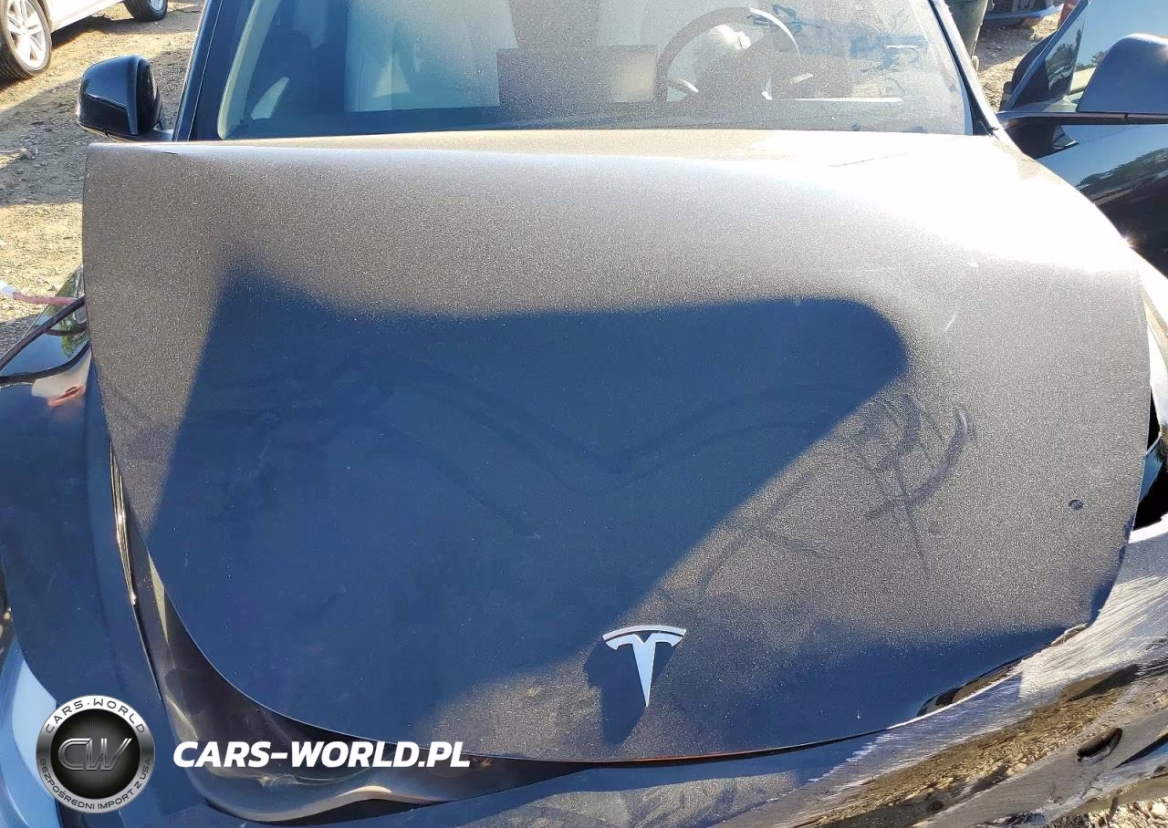 2023 Tesla Model Y VIN:7SAYGDEE4PF628068 - 11