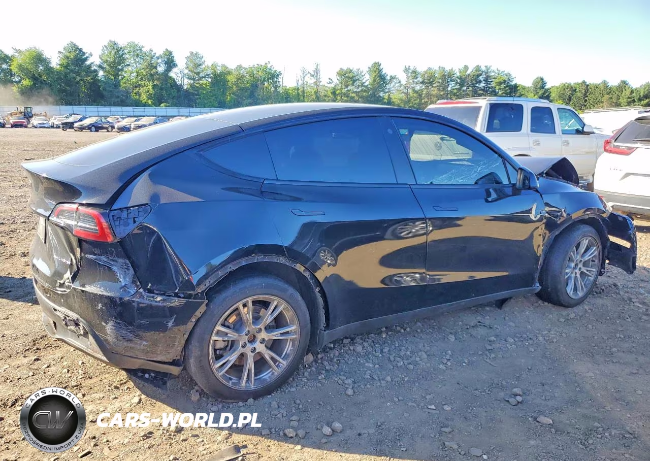 2023 Tesla Model Y VIN:7SAYGDEE4PF628068 - 3