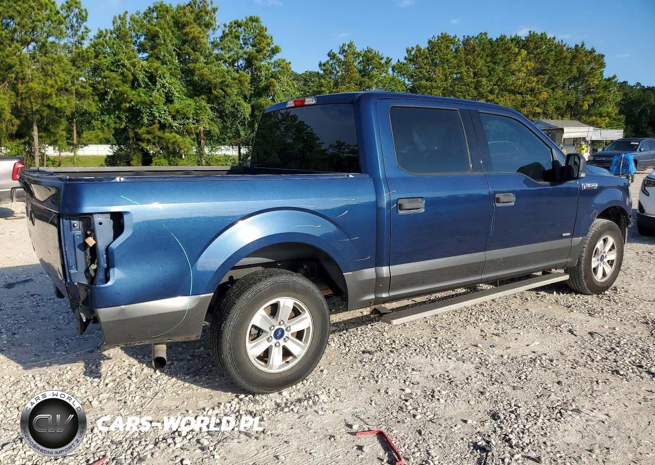 2016 Ford F150 Supercrew VIN:1FTEW1CP9GKE01161 - 3
