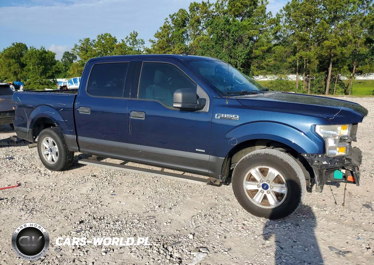 2016 Ford F150 Supercrew VIN:1FTEW1CP9GKE01161 - 4