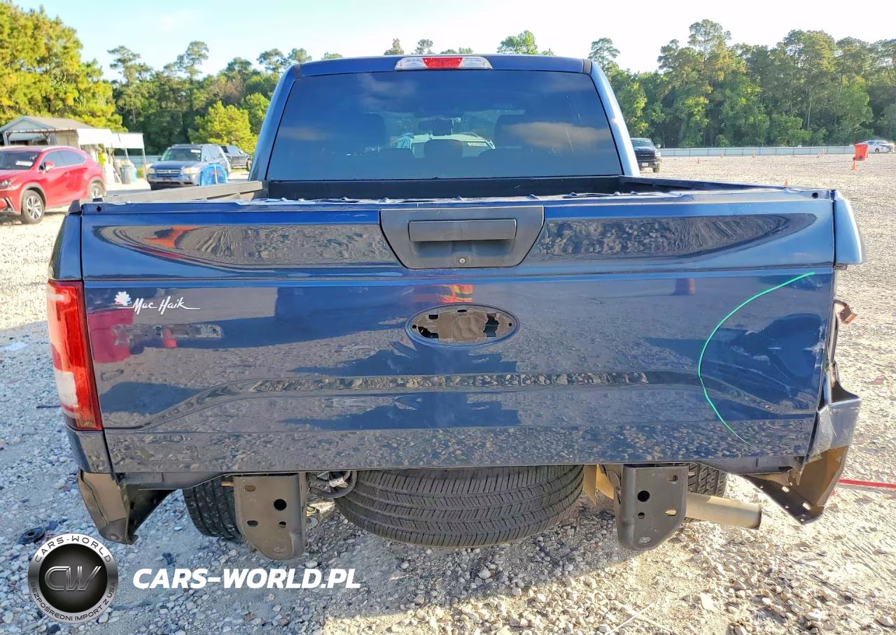 2016 Ford F150 Supercrew VIN:1FTEW1CP9GKE01161 - 6