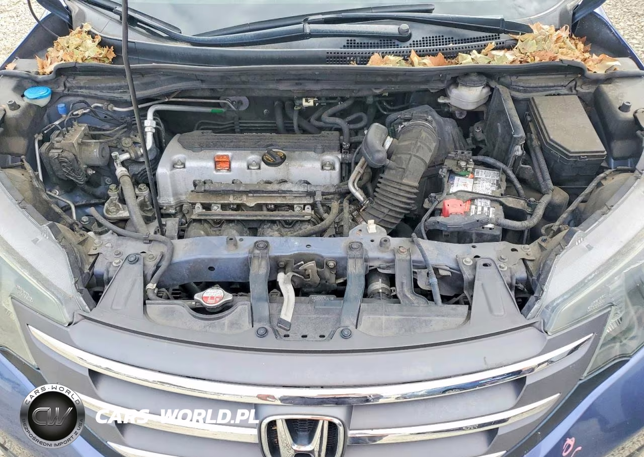 2013 Honda Cr-V Exl VIN:2HKRM4H74DH686900 - 12